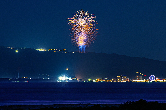 fujinatsuhanabi2024f.jpg