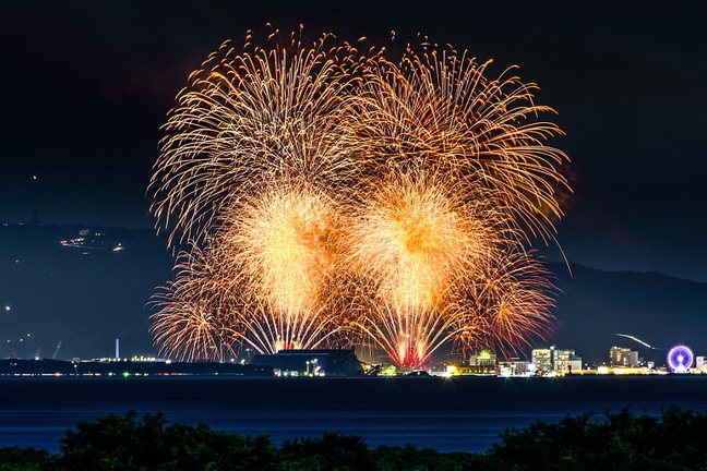 fujinatsuhanabi2024t.jpg