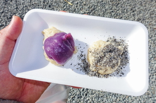 fujioganic20181229d.jpg