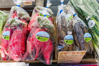 fujioganic20181229f.jpg