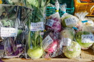 fujioganic20181229g.jpg