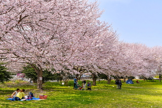 fujisakura2021_02i.jpg
