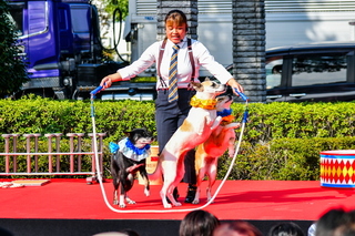 fujishoukoufair2023q.jpg
