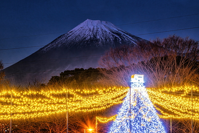fujiyamadays202312w.jpg