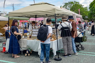 fujiyamadays202406l.jpg