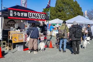 fujiyamadays202412h.jpg