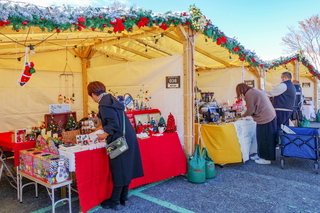 fujiyamadays202412j.jpg