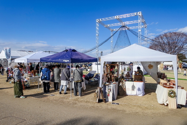 fujiyamadays202412v.jpg