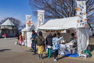 fujiyamadays202412w.jpg
