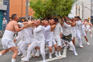 gion2019_02g.jpg