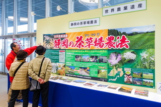 hanatoshokufes2019e.jpg