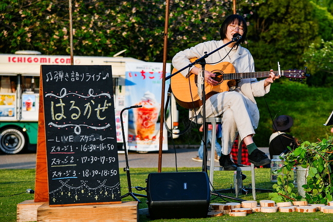 hashigo202504k.jpg