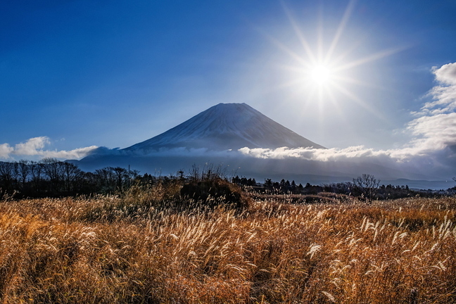 hatsufuji2020f.jpg