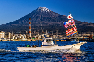 hatsufuji2025f.jpg