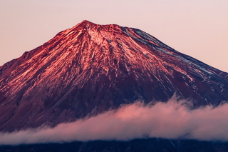 hatsufuji2025l.jpg