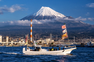 hatsufuji2026f.jpg