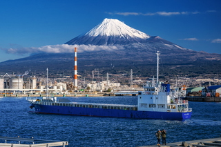 hatsufuji2026i.jpg