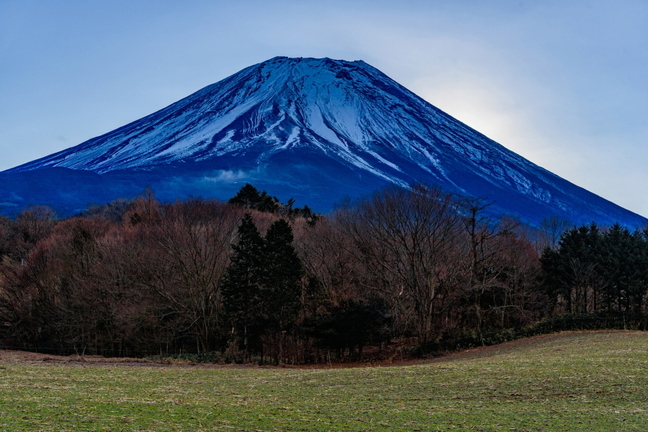 hatsuhi2019e.jpg
