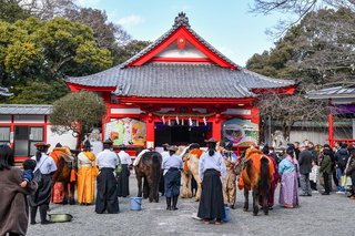 hatsumoude2025j.jpg