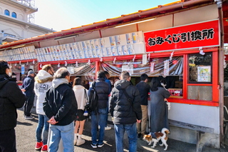hatsumoude2025q.jpg