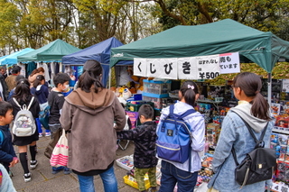 hiromisakurafes2019i.jpg