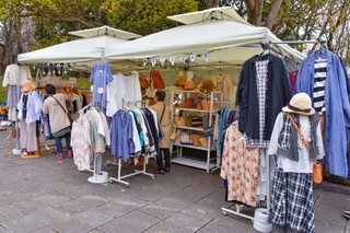 hiromisakurafes2019j.jpg