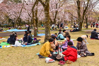 hiromisakurafes2019m.jpg