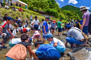 inakofes2019g.jpg