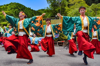 inakofes2019n.jpg