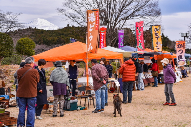 iwaharuichi20190310a.jpg