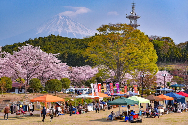 iwaharuichi2019a.jpg