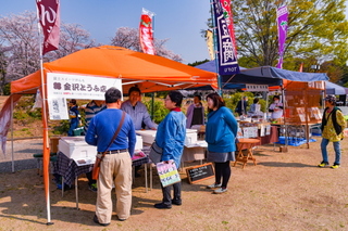 iwaharuichi2019c.jpg