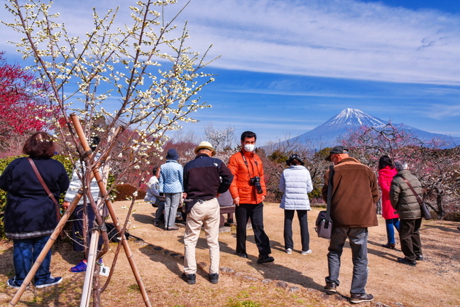 iwakitaumefes2019j.jpg