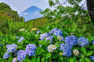 iwamoto20200627b.jpg