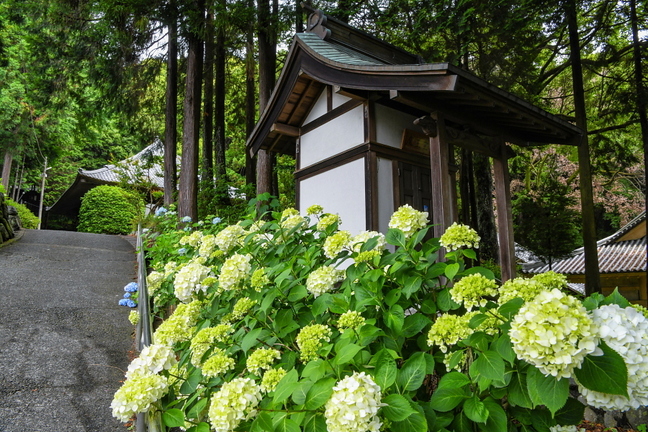 iwamoto20210528k.jpg