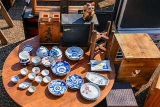 iwamotoyama_sakuraev2025d.jpg