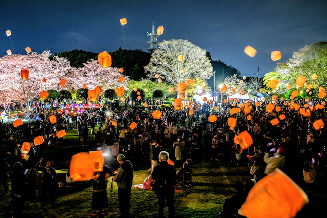 iwamotoyama_sakuraev2025u.jpg