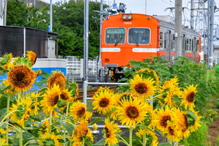 jatco_himawari07.jpg