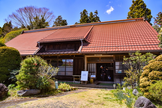 kariyadosakura2019i.jpg
