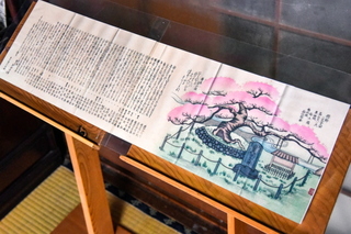 kariyadosakura2019k.jpg