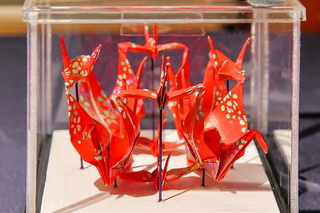 kashibaya_hina2023l.jpg