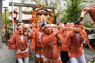 kinoeneakifes2019q.jpg