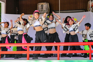 kissakofes202307m.jpg