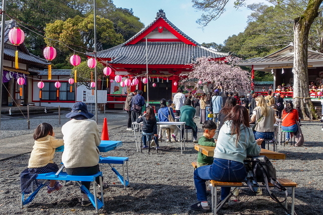 kissakohanami2025b.jpg