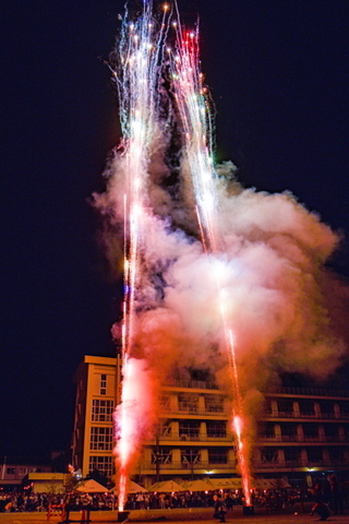kogi2019w.jpg