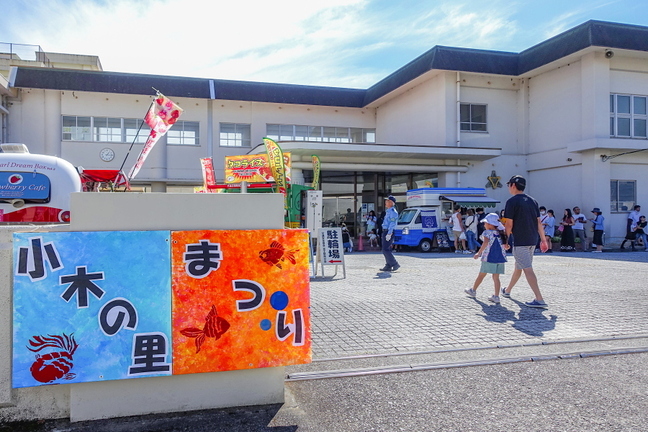 koginosatofes2023a.jpg