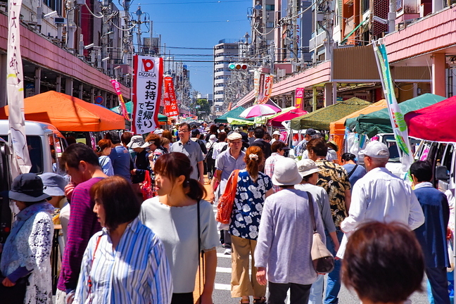 ktoraichi201906b.jpg
