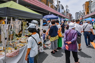 ktoraiichi202206e.jpg