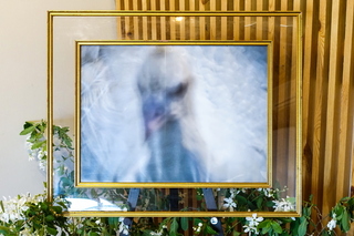 kurodayukiten05.jpg
