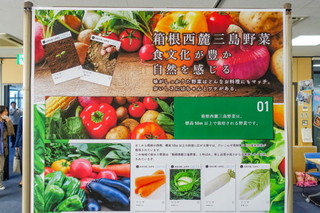 livinginmishima09.jpg